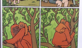 爬树漫画,漫画中的自然奇遇记